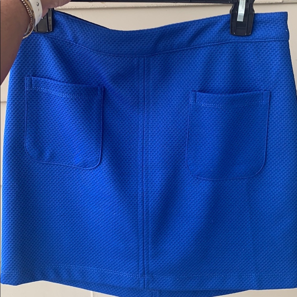 Tulle Royal Blue Skirt